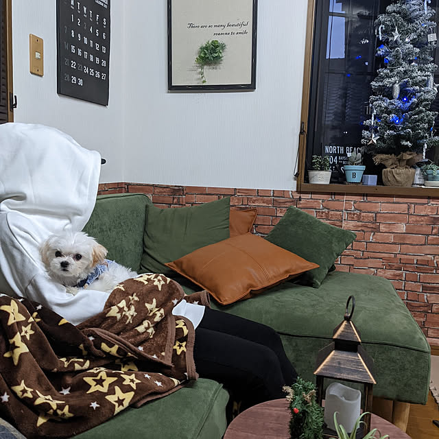 norinoriさんの実例写真