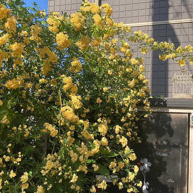 shoさんの部屋