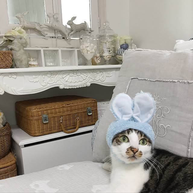 yuchiさんの実例写真