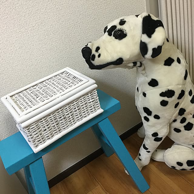 lionneさんの実例写真