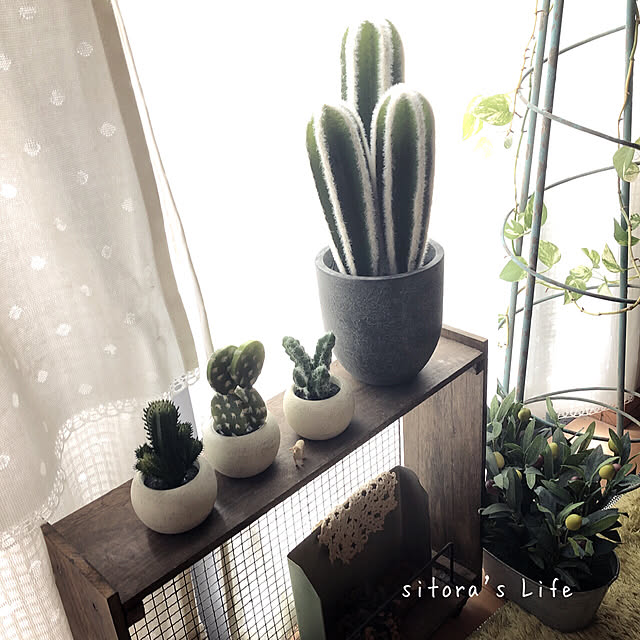 sitoraさんの実例写真