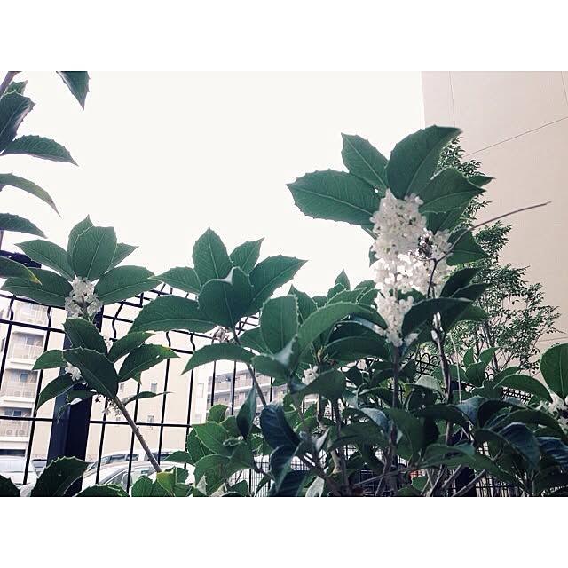 Amy24ccさんの実例写真