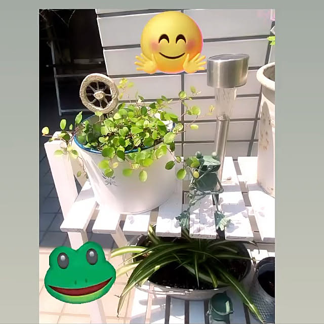 YuuKoさんの実例写真