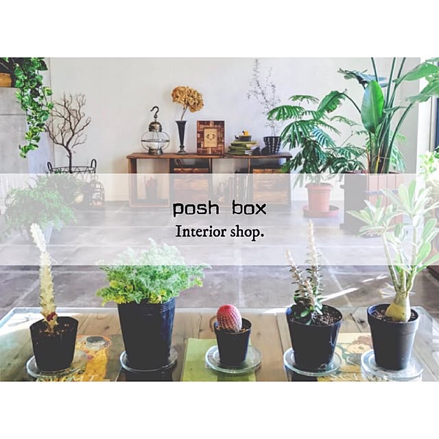 Mari_poshboxさんの実例写真