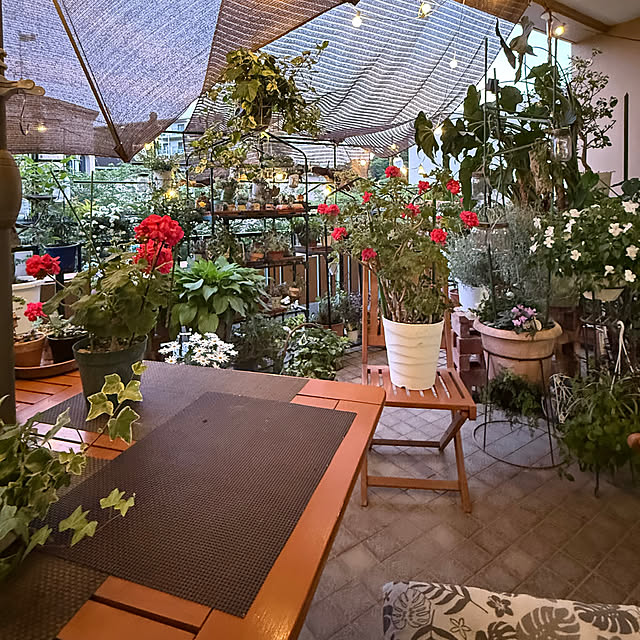Aqettyさんの部屋