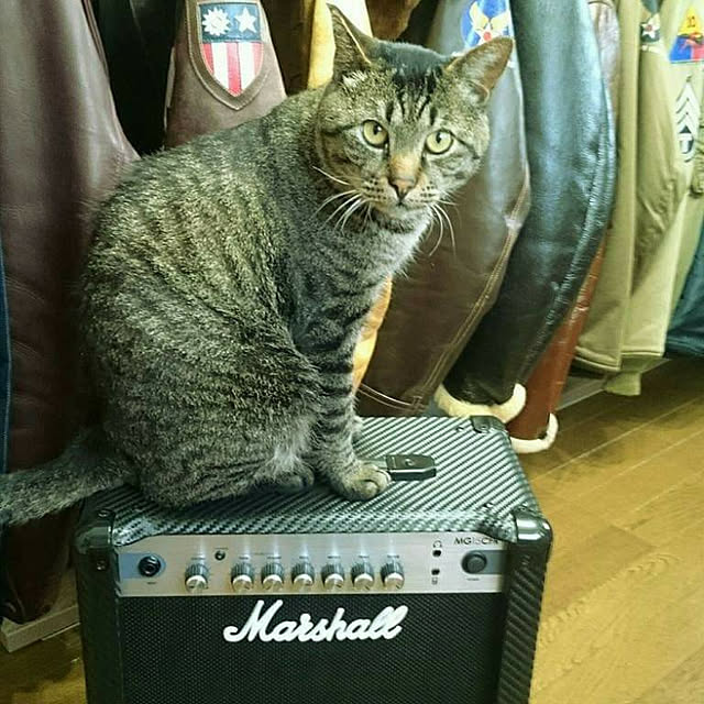 ken.kawakamiさんの実例写真