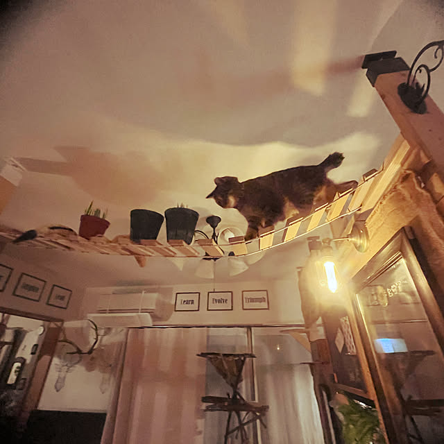 Mさんの部屋