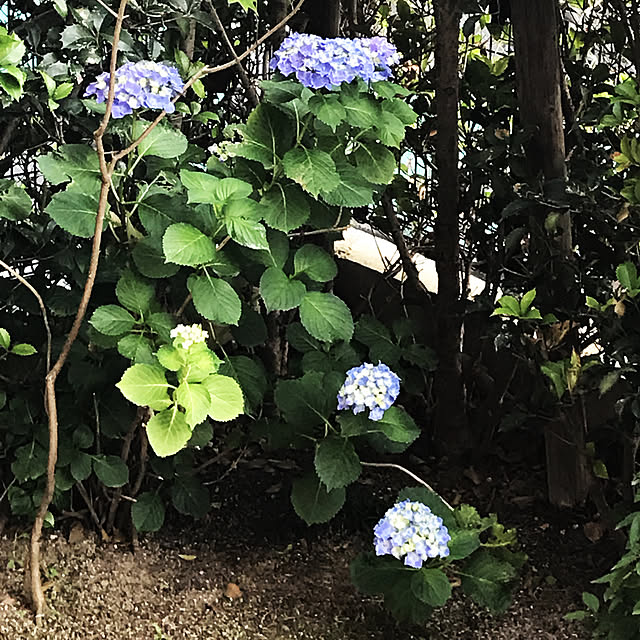 t.omi312さんの実例写真