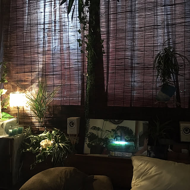 ariさんの実例写真