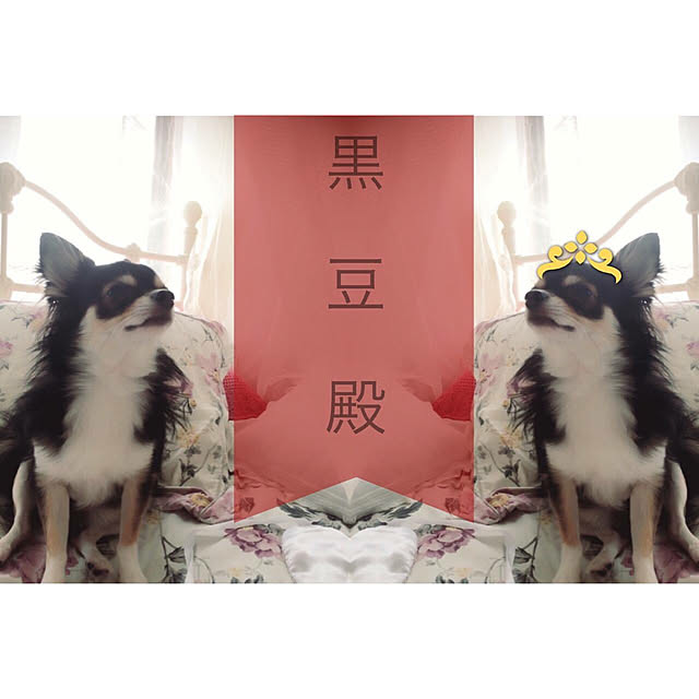 Yukaさんの実例写真
