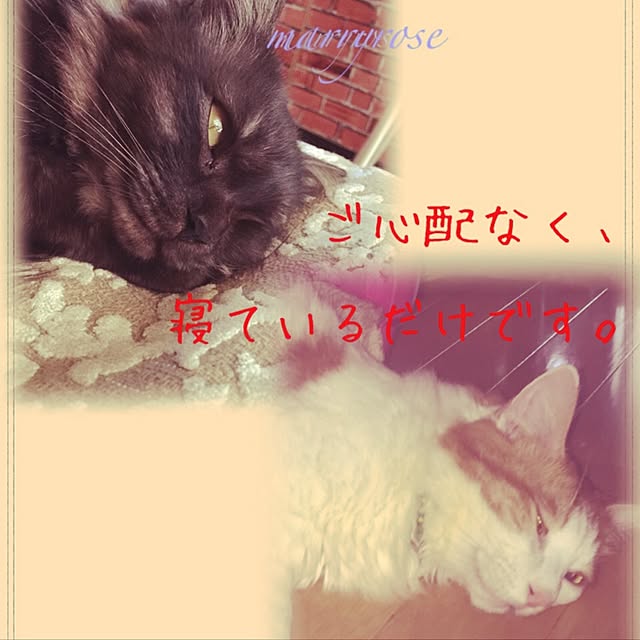 maria.rさんの実例写真
