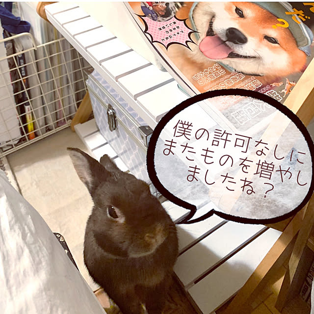 mo-nosukeさんの実例写真