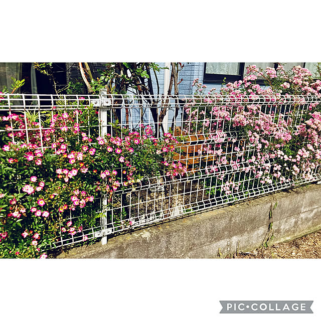 CoCo0617さんの部屋
