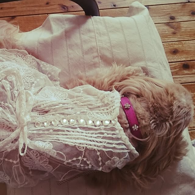 makaronさんの実例写真