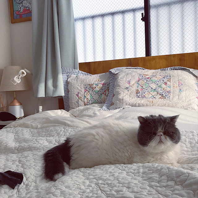 mukkomikkoさんの実例写真