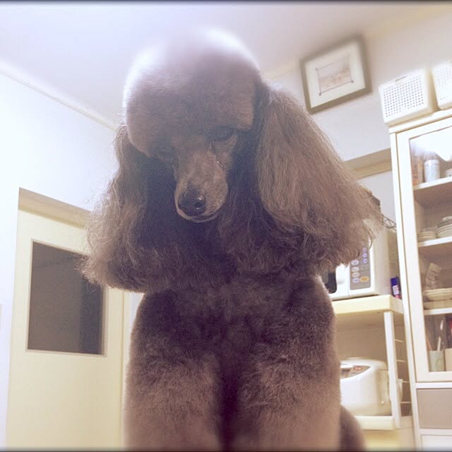 chunさんの実例写真