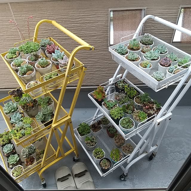 meiさんの部屋