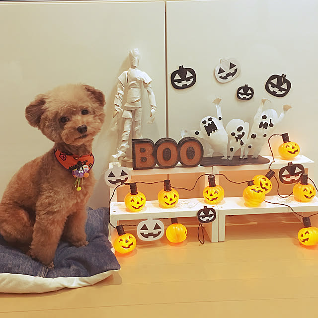 mococoさんの実例写真