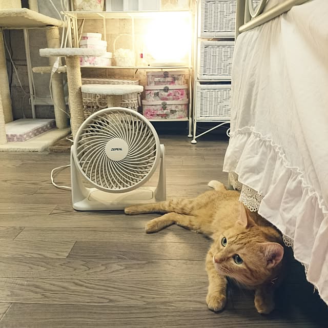 fu-ka24さんの実例写真
