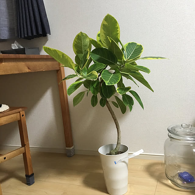 kaorinさんの実例写真