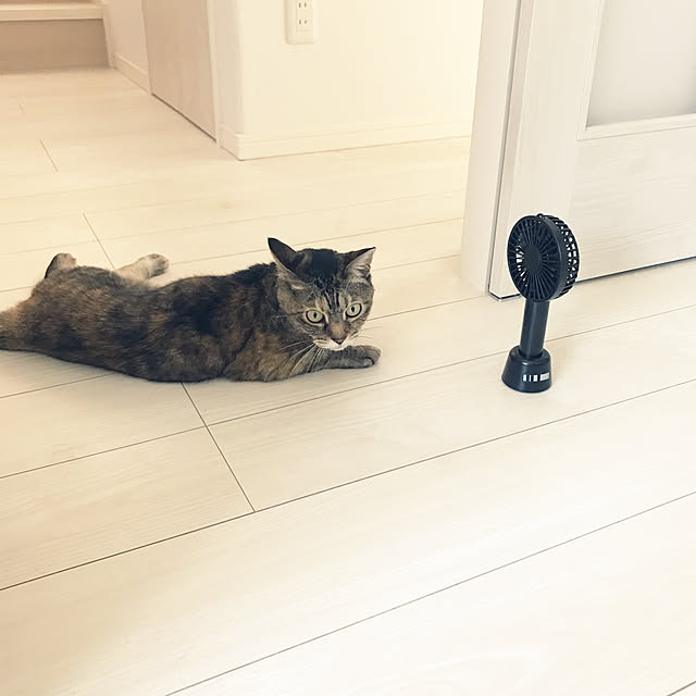 minminさんの実例写真