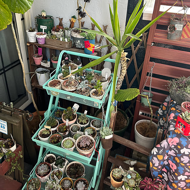 Fumiさんの部屋