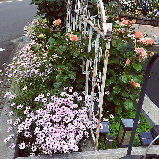 tomoさんの部屋