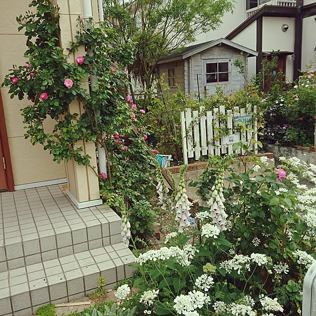 montresoryuzuhaさんの実例写真