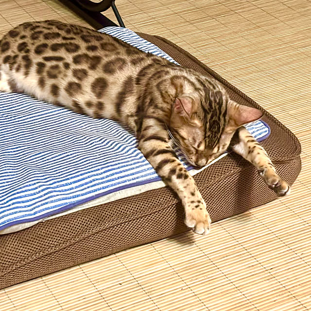 tututu0204さんの部屋