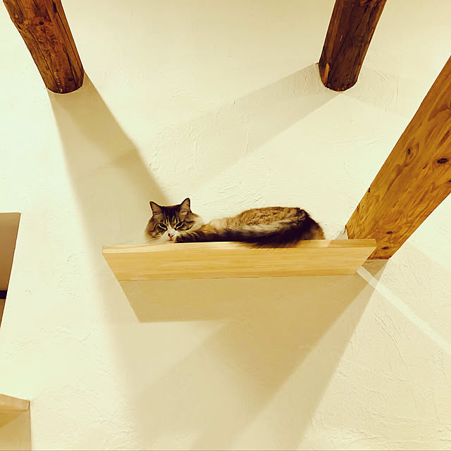 masyacanonさんの実例写真