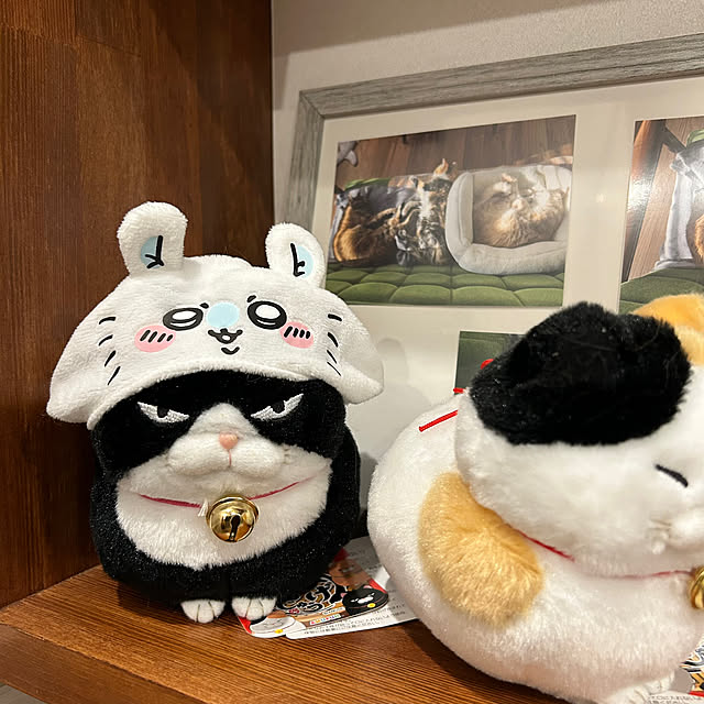 mikeume7さんの部屋