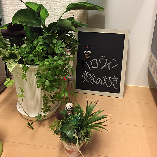 emiさんの実例写真