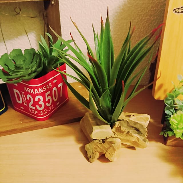 naomiさんの実例写真