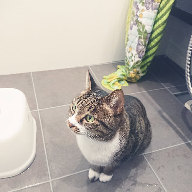 nachiさんの実例写真