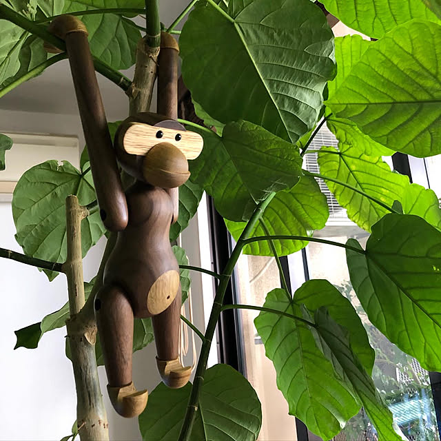 Naochanhoikuenさんの実例写真
