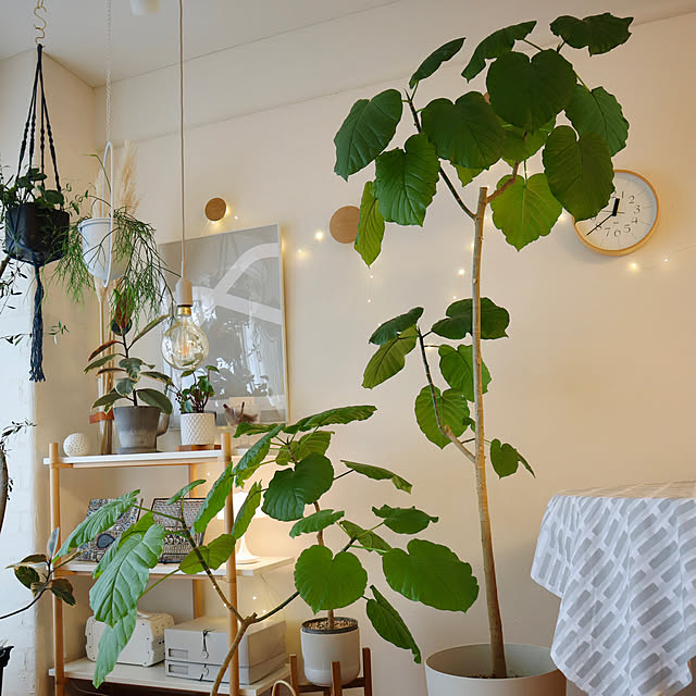 Hisayoさんの部屋