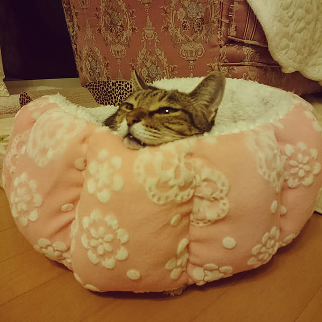 lilyさんの実例写真