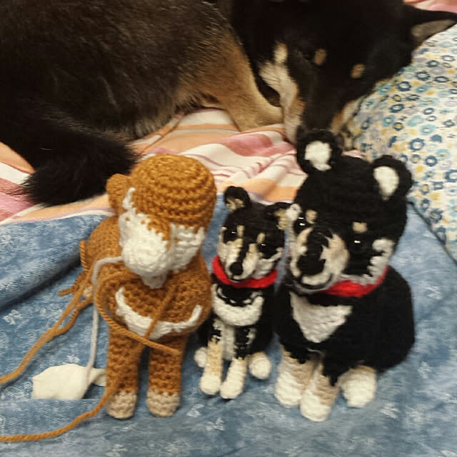 tsutawarimasuさんの実例写真