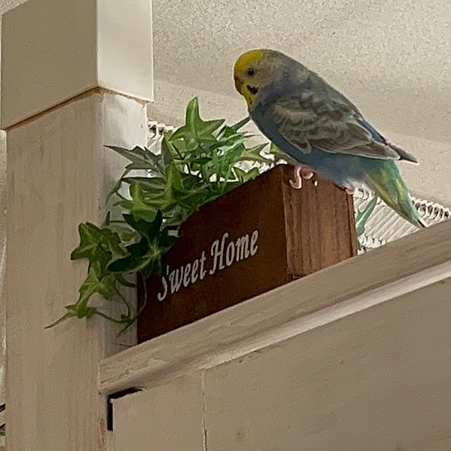 Atsukoさんの部屋