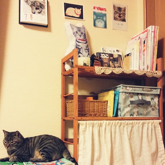 maoshinさんの実例写真