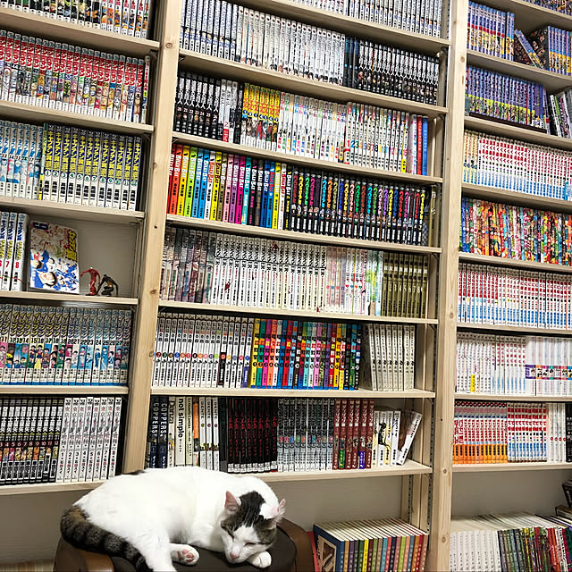 nnkttoさんの実例写真