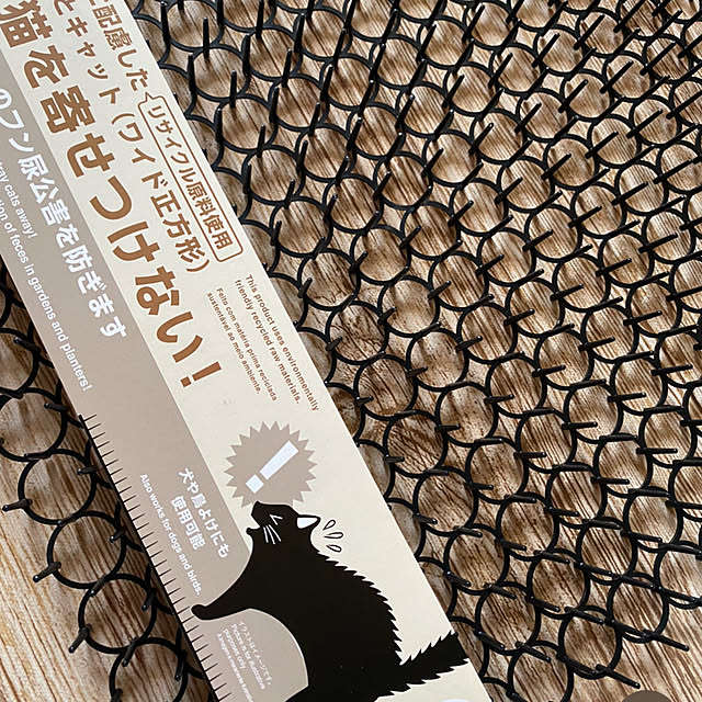 mintteaさんの部屋