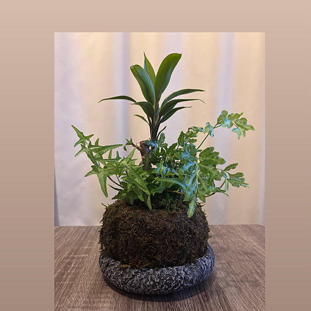 ponchu37さんの実例写真