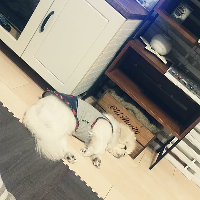 yukagomaさんの実例写真