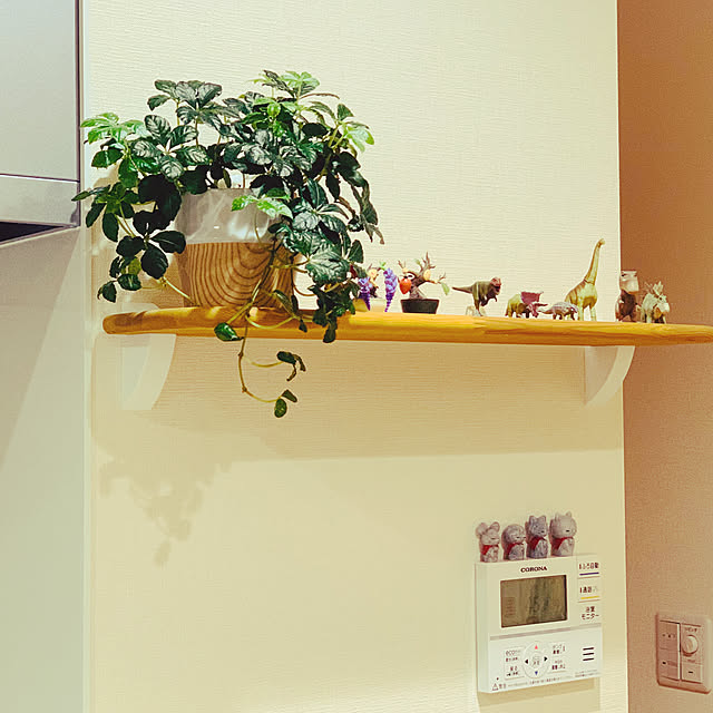 s_homeさんの実例写真
