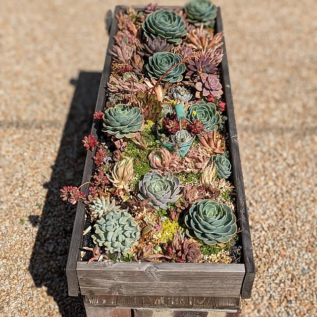 PEROさんの実例写真