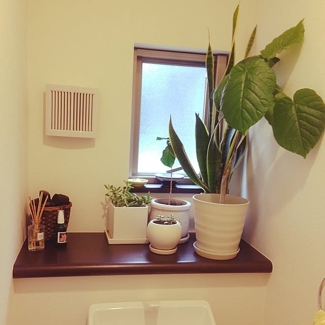 izuさんの実例写真