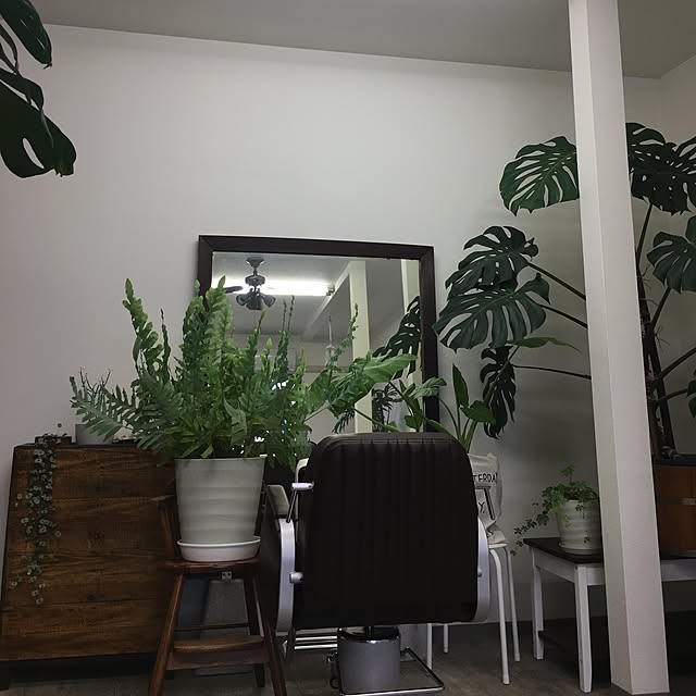openaim2さんの実例写真