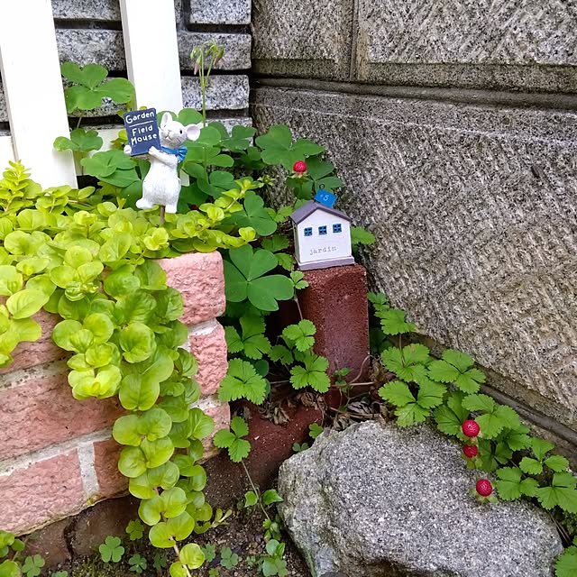 25Moondropsさんの実例写真