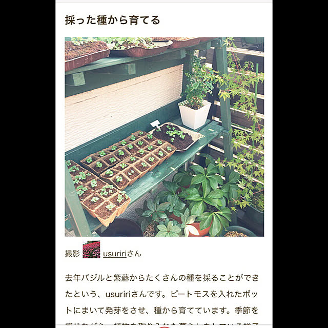 usuririさんの実例写真